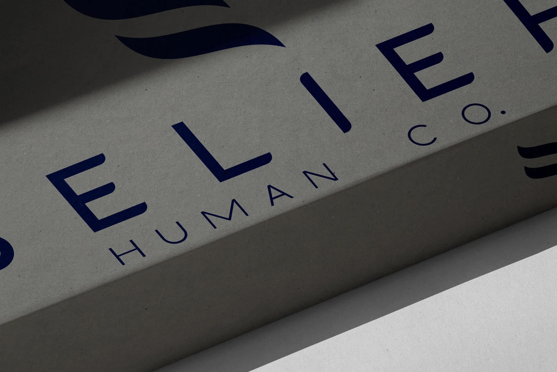 Livro com a marca Belief